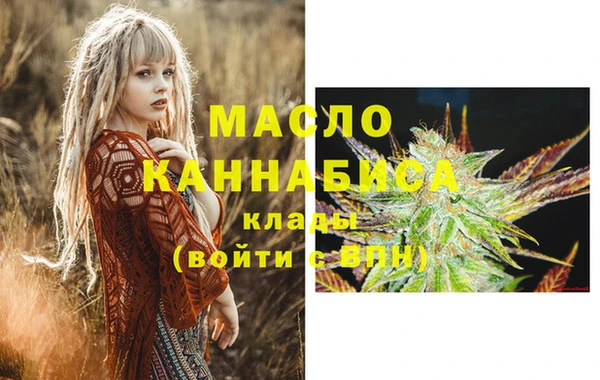амф Вяземский