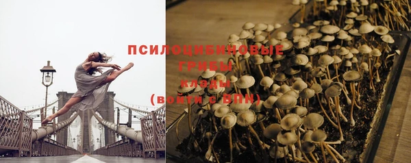 дживик Вязьма