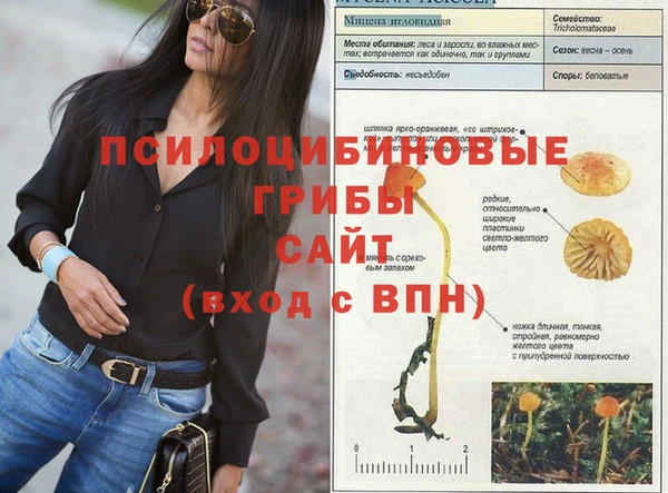 амф Вяземский