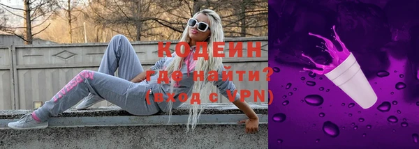 амф Вяземский